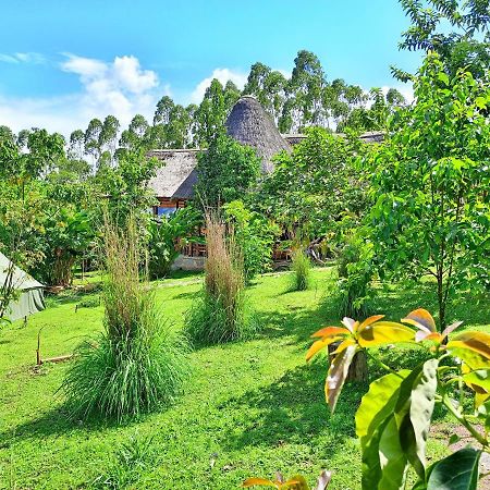 Chimpanzee Capital Safari Lodge Bigodi Εξωτερικό φωτογραφία