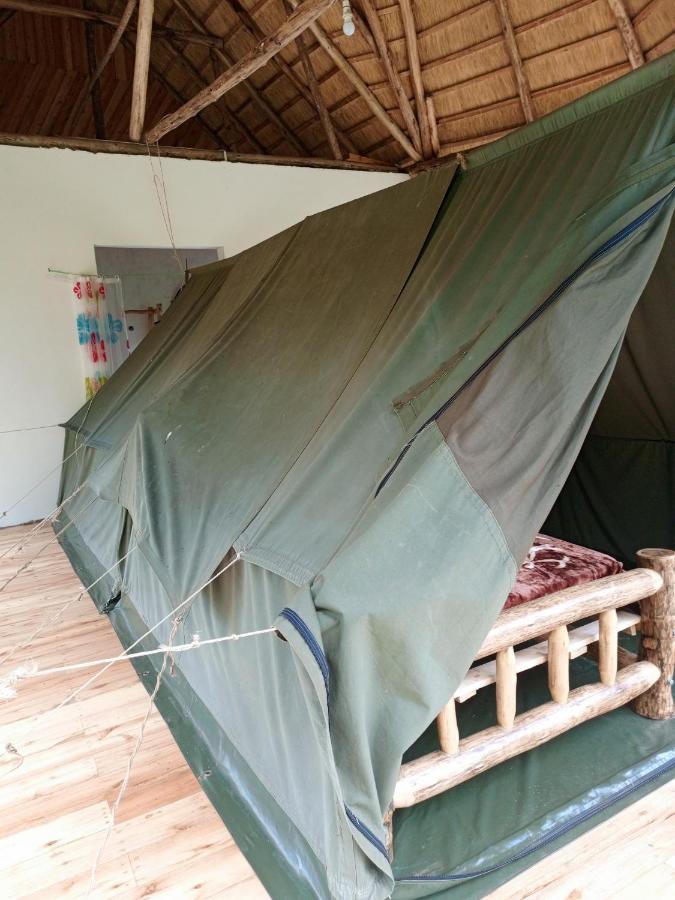 Chimpanzee Capital Safari Lodge Bigodi Εξωτερικό φωτογραφία